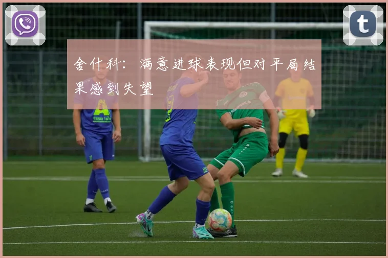 舍什科：满意进球表现但对平局结果感到失望