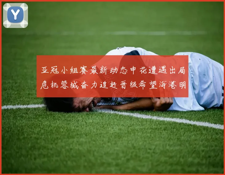 亚冠小组赛最新动态申花遭遇出局危机蓉城奋力追赶晋级希望海港明日迎战挑战